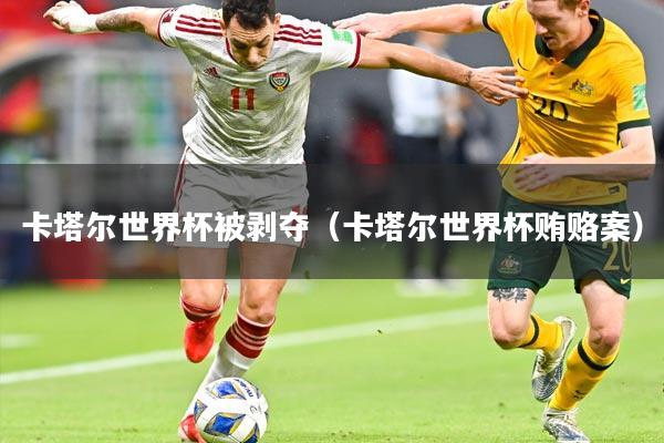 卡塔尔世界杯被剥夺（卡塔尔世界杯贿赂案）