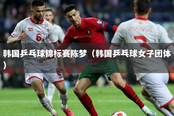 韩国乒乓球锦标赛陈梦(韩国乒乓球女子团体)