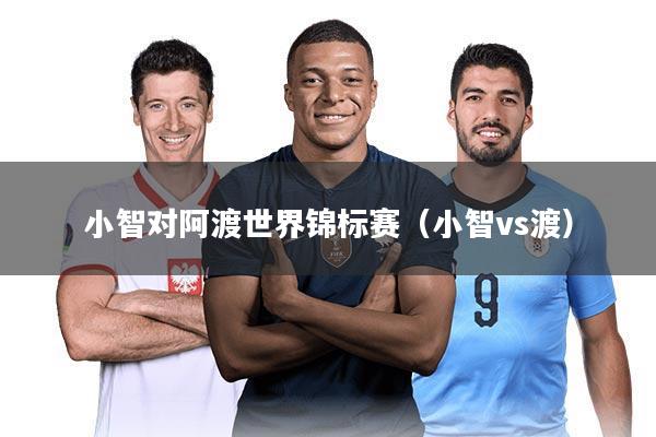 小智对阿渡世界锦标赛(小智vs渡)