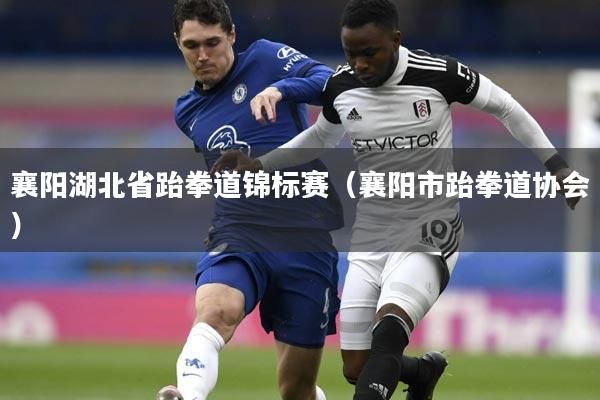 襄阳湖北省跆拳道锦标赛(襄阳市跆拳道协会)