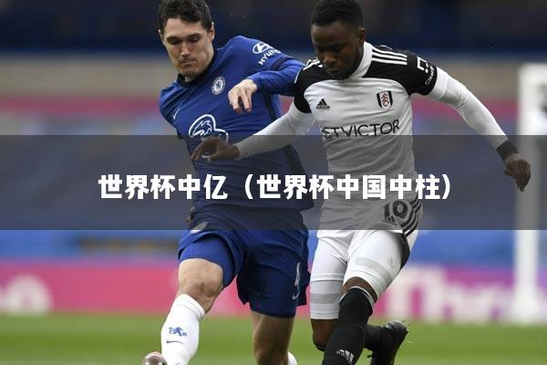 世界杯中亿(世界杯中国中柱)
