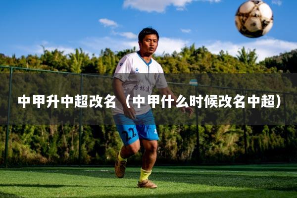 中甲升中超改名（中甲什么时候改名中超）