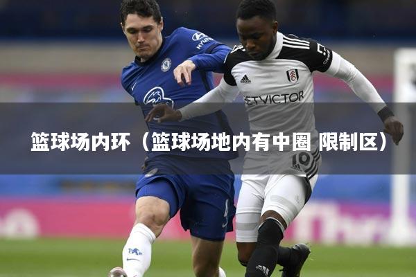 篮球场内环（篮球场地内有中圈 限制区）