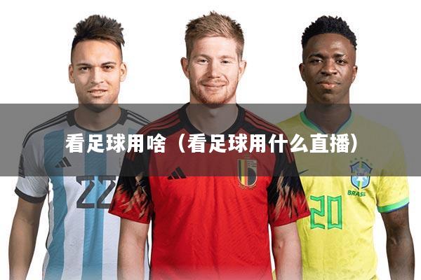 看足球用啥(看足球用什么直播)