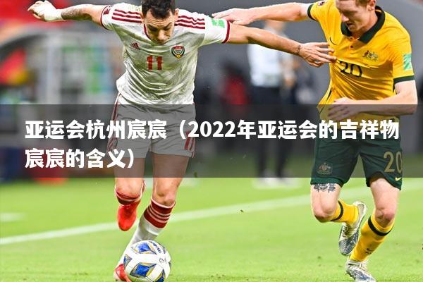 亚运会杭州宸宸(2022年亚运会的吉祥物宸宸的含义)