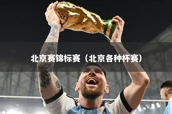 北京赛锦标赛(北京各种杯赛)