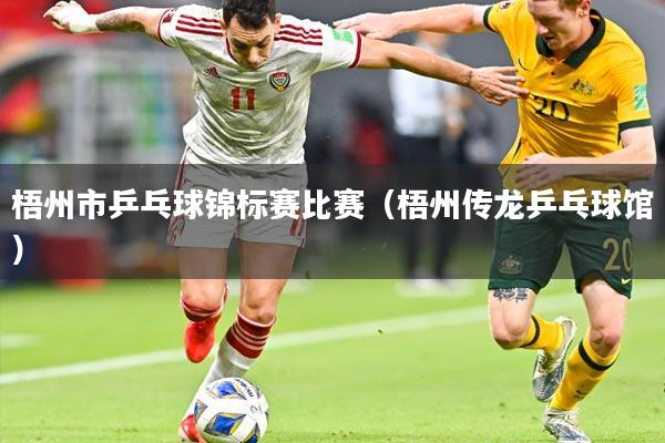 梧州市乒乓球锦标赛比赛（梧州传龙乒乓球馆）