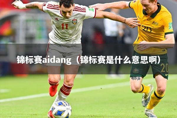 锦标赛aidang（锦标赛是什么意思啊）