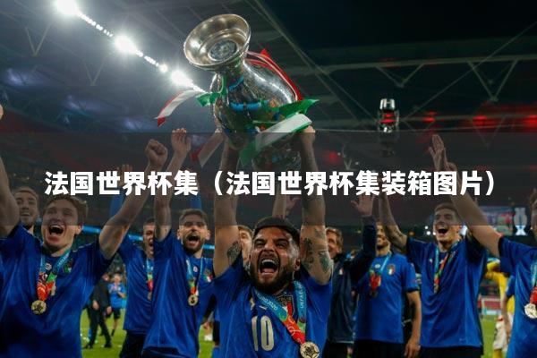 法国世界杯集（法国世界杯集装箱图片）