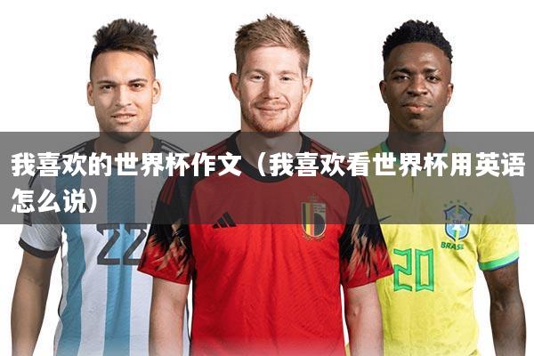 我喜欢的世界杯作文（我喜欢看世界杯用英语怎么说）