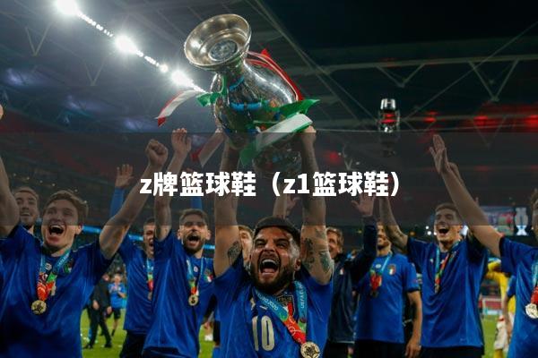 z牌篮球鞋（z1篮球鞋）
